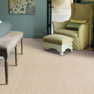 Caress Carpet by Shaw | Spiceland, IN